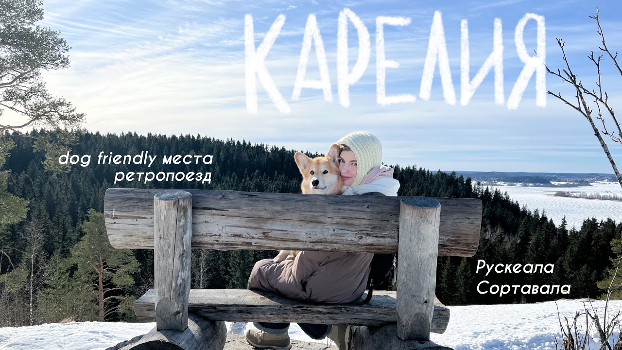 cozy vlog: путешествие в Карелию с Бильбо 🐾 dog friendly заведения ...