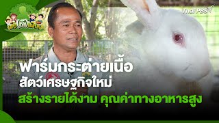 ฟาร์มกระต่ายเนื้อสัตว์เศรษฐกิจใหม่สร้างรายได้งาม คุณค่าทางอาหารสูง | พอดีพอเพียง