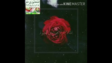 آية الكرسي بصوت القارئ ماهر المعيقلي أريح قلبك||حالات واتس أب||مقاطع قصير انستغرام||مقاطع استوري