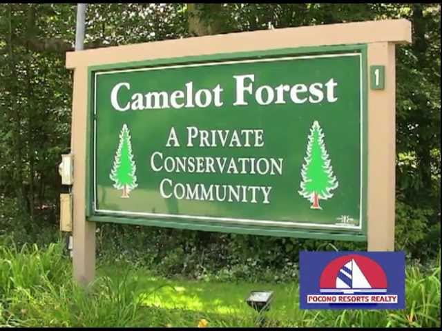 Camelot Forest
