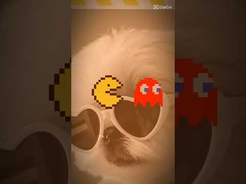 Vocês Podem Me Ajudar Para Der 1milhos De Escritos