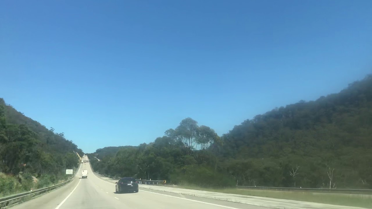 Каменистая почва , а деревьям?? ни по чем ! ?? - YouTube