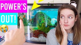 Fish Tank Emergency: Power Outage! What To Do When You Lose Power For Goldfish Tank
Fish Tank Emergency: Power Outage! What To Do When You Loose Power For Goldfish Tank
Hey guys! Hope this video was helpful for you! I know this video was unplanned but I did my best to explain everything that I know & did for my situation!
dont forget if you have bad weather, saltwater, tropical or extreme conditions you WILL NEED TO RESEARCH for those specific tank needs for your fish!
*MAIL PO BOX CLOSED*
*Business Email: Littlelotti24@hotmail.com
*iNSTAGRAM: LITTLELOTTI24
*SNAP: LITTLELOTTI24
*FAQ
*CAMERA: CANNON G7X Markii
*EDITOR: IMOVIE & FINAL CUT PRO
***ALL ITEMS PURCHASED BY ME AND ALL OPINIONS ARE MY OWN. ALL MUSIC IS ROYALTY FREE, AND NOT MY OWN.*** Fish Tank Emergency: Power Outage! What To Do When You Lose Power For Goldfish Tank