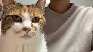 ヤキモチがめっちゃ顔に出てるのに自分から行かない誇り高きツンデレ。ミー子。