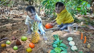 luby monyet lucu panen sayur di kebun