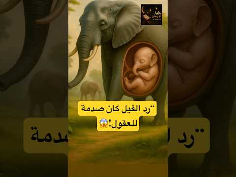 قصة انثي الفيل وانثي الكلب قصص