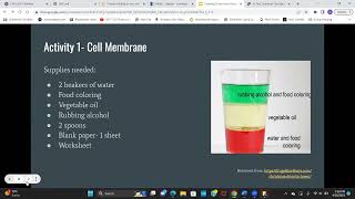 Famous Order from Disorder- Cell Profile