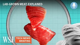 Lab-Grown Meat: How Much Can It Help Save Our Climate? | WSJ Tech News Briefing