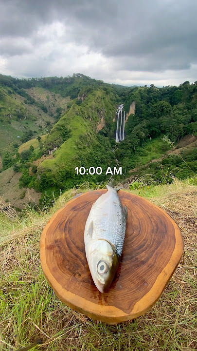 Masak Ikan Cara Alami 🏕️💦🔥🇮🇩🏔️🪵 #cooking #campfire #asmr #masak