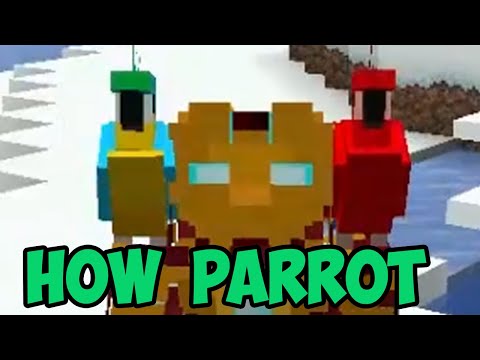 Video: Bagaimana Anda mendapatkan burung beo di bahu Anda di Minecraft?