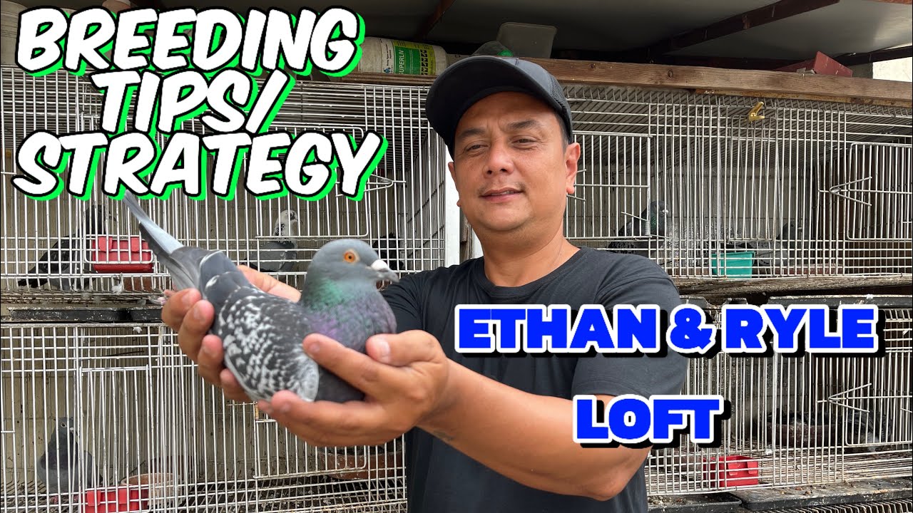 TIPS AND STRATEGY MULA SA BACK TO BACK CHAMPION SA MMFC AT BIG WINNER SA PHA! “ETHAN & RYLE LOFT”