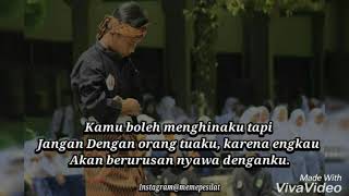 Quotes pesilat