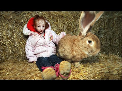 Видео: Знает ли ваша собака, когда вы голые?