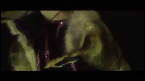 ARKONA - Pokrovi Nebesnogo Startsa