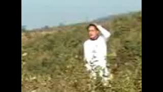 Lily khasi song original version