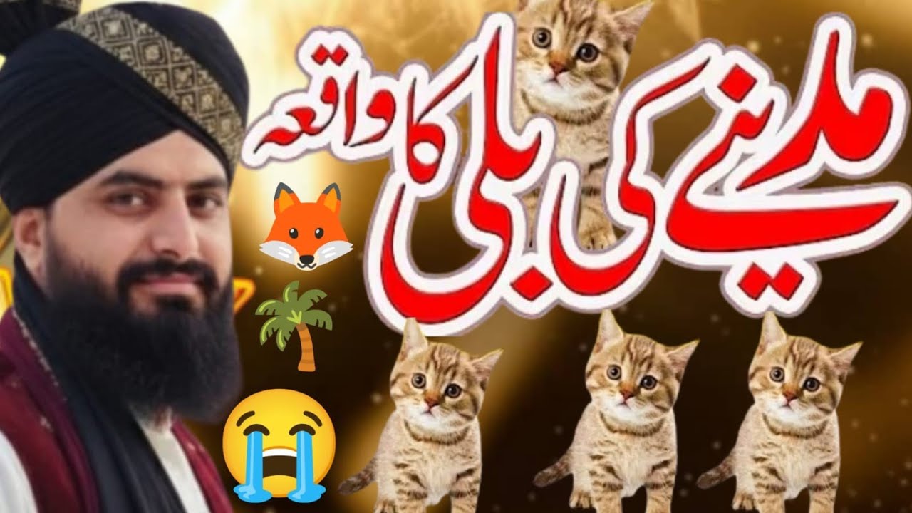 Madina Shareef ki Bili ka waqia |  مدینہ شریف کی بلی | Allama Zahid Nadeem Sultani