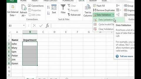 Automating Data Validation Using Excel 2013