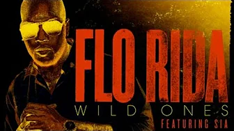 Wild Ones - Flo Rida ft. Sia (Instrumental Cover) Wild Ones - Flo Rida ft. Sia (Instrumental Cover)
