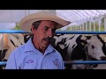 Producción de leche en México - Caso de éxito