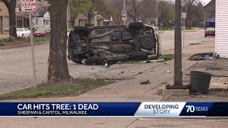 Driver crashes into tree, dies at hospital