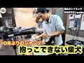 【初来店】咬傷犬2度飼い主に噛み付いた柴犬トリミング