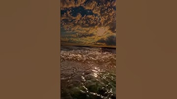 قَالَ رَبِّ إِنِّي ظَلَمْتُ نَفْسِي | محمد صديق المنشاوي | سورة القصص {١٦}