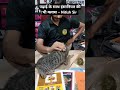 पढ़ाई के साथ इंसानियत की भी क्लास – Nitish Sir | NITISH ACADEMY | #nitishacademy #animallovers #cat