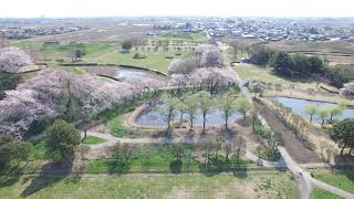 埼玉古墳群（Sakitama Kofungun）
