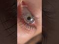 Делимся крутой работой byutti_blog* на составах LASH LAMINATION 💙 #ламиресниц#lashlift#beauty