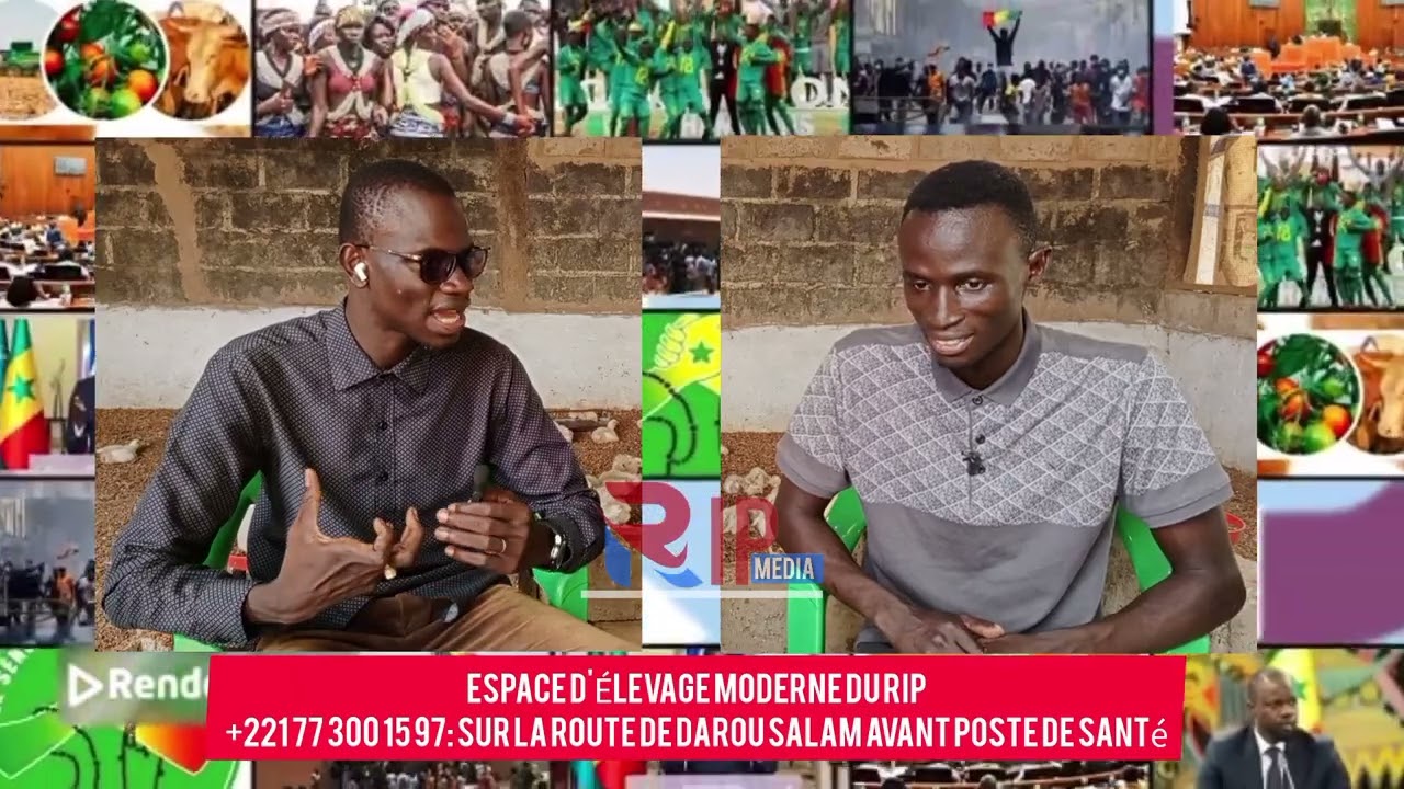 ESPACE D'ÉLEVAGE MODERNE DU RIP +221 77 300 15 97: Sur la route de darou salam avant poste de santé