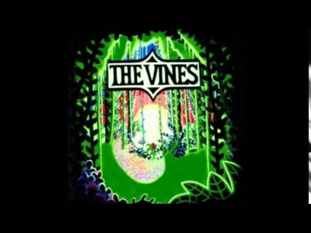 The Vines - Ain't No Room