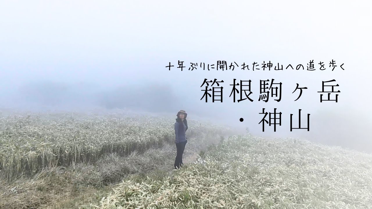 箱根駒ケ岳・神山｜封印解除、約10年ぶり！神山縦走コースがついに再開