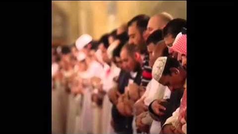 ماتيسر من سورة آل عمران للشيخ حاتم المالكي