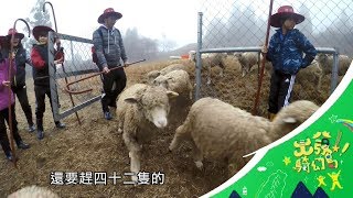 【出發騎幻島】我們一起摘星去