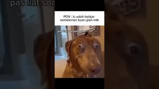 Mati gw💀 #shorts #shortvideo #meme #memes #fyp