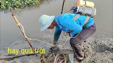 sáng sớm vào đồng gặp cao thủ xiệt lươn đồng quá hay