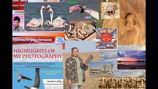 My Non Professional Artistic  photography  activity  from 1982 to 2026 (f)
