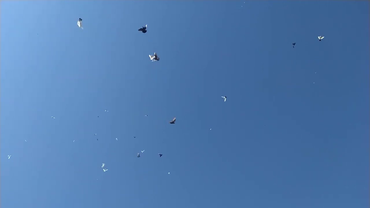 Бакинцы молодежь 2023г.ДНР.