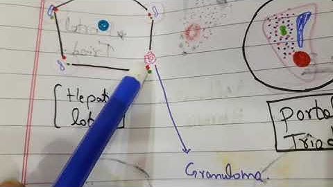 Autoimmune Cholangiopathies(Primary Biliary Cirrhosis)