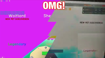 TOP 2 PEOPLE WHO HATCHED WOLFLORD AND PLASMA WOLFLORD ON CAMERA!