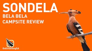 Sondela, Bela Bela, Limpopo - Campsite Review - June 2023