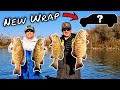 Catching GIANT SMALLMOUTH on the TN River (NEW Truck Wrap)
