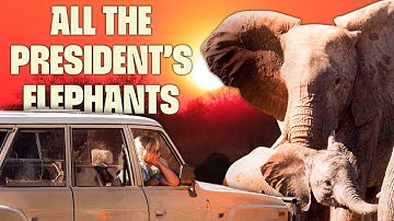 An Incredible Journey | FULL DOCUMENTARY | All The President