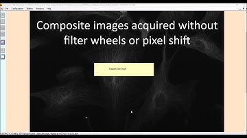 Using the Etaluma LS620 fluorescence microscope