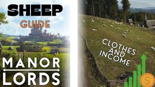 Sheep Guide  Manor Lords  Clothes and Income Boost!