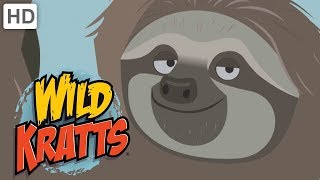 Wild Kratts  Hanging and Swinging  | Kids Videos