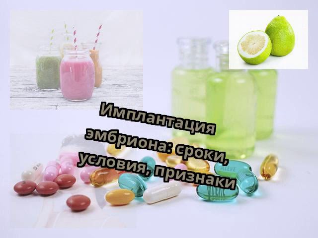 Имплантация эмбриона: сроки, условия, признаки