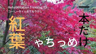 リハビリ登山03 デイキャンプでトレッキング 下り Trekking 03 ソロキャン 動画編集 練習用 For video editing practice コーヒー Time for coffee