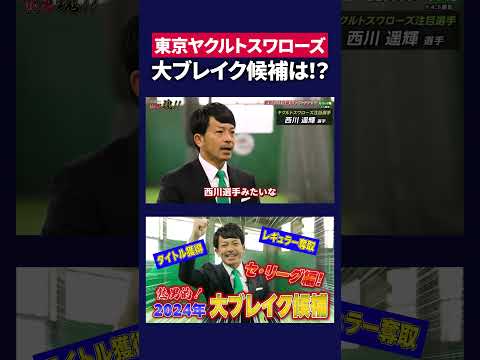 【東京ヤクルトスワローズ】再起をかける好打者を選出、完全復活に期待！！