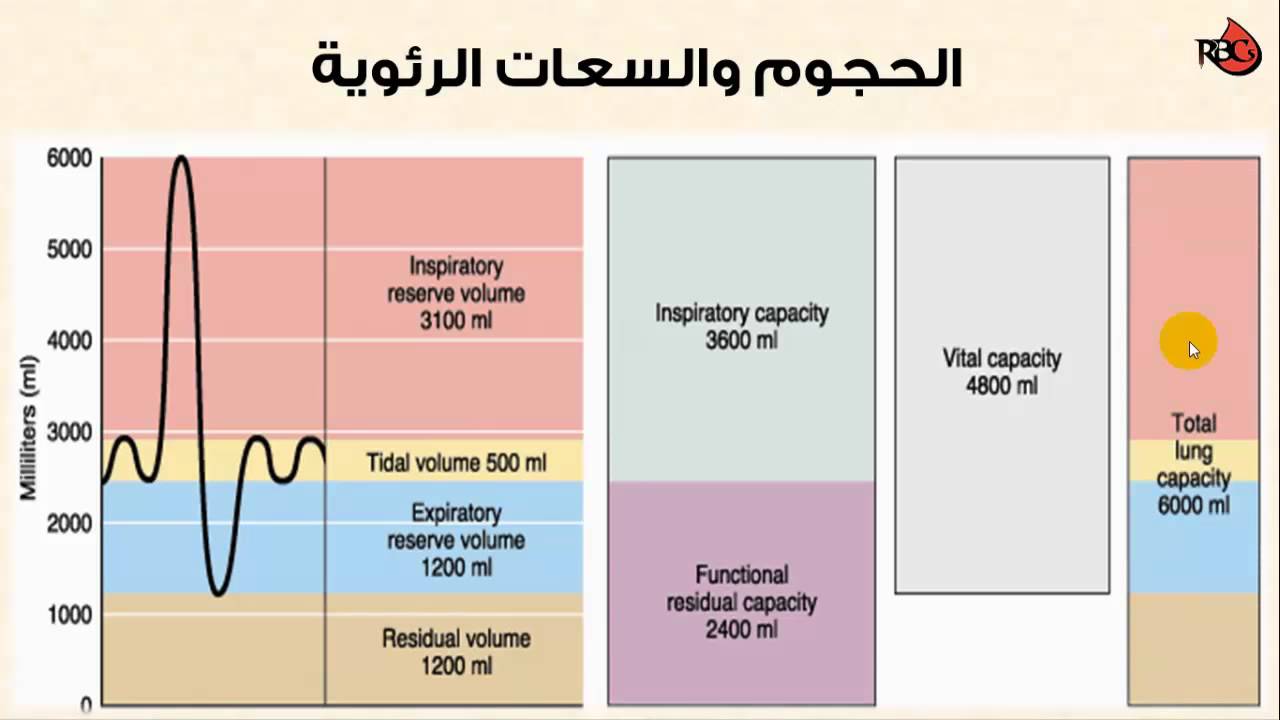 شرح مختصر لاختبارات وظائف الرئة PFT
